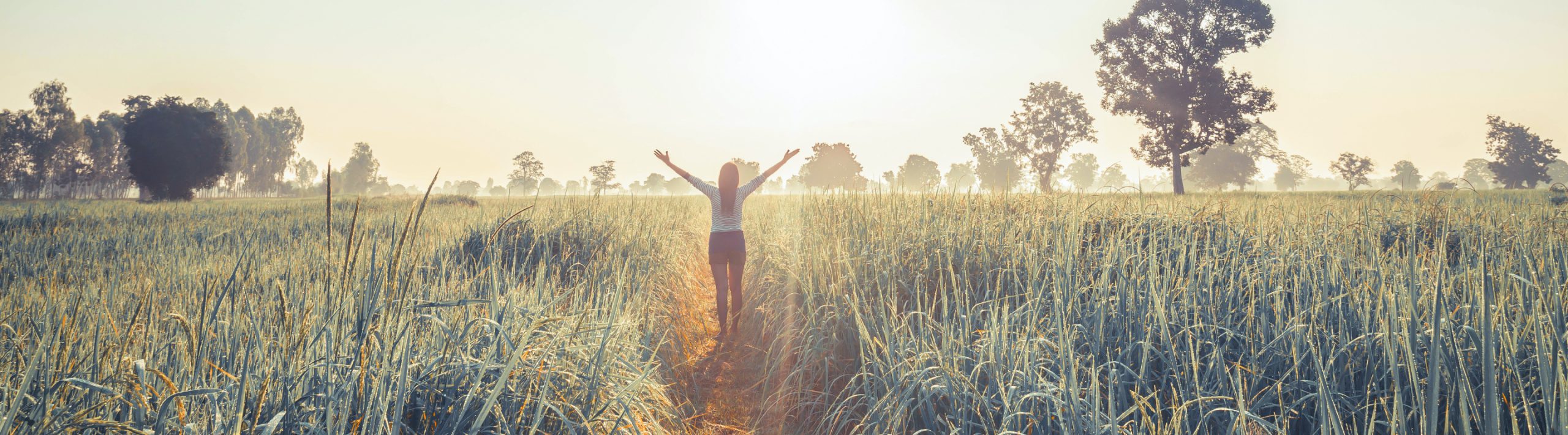 Woman in sunny field holding hands over her head.
