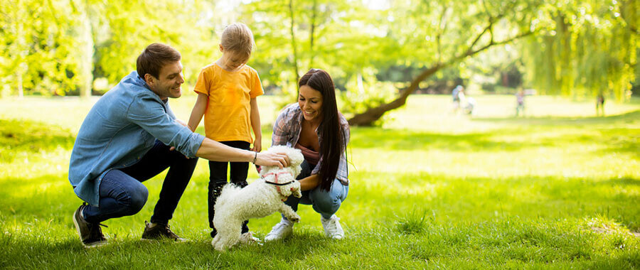 Family with dog enjoying the outdoors without inflammation