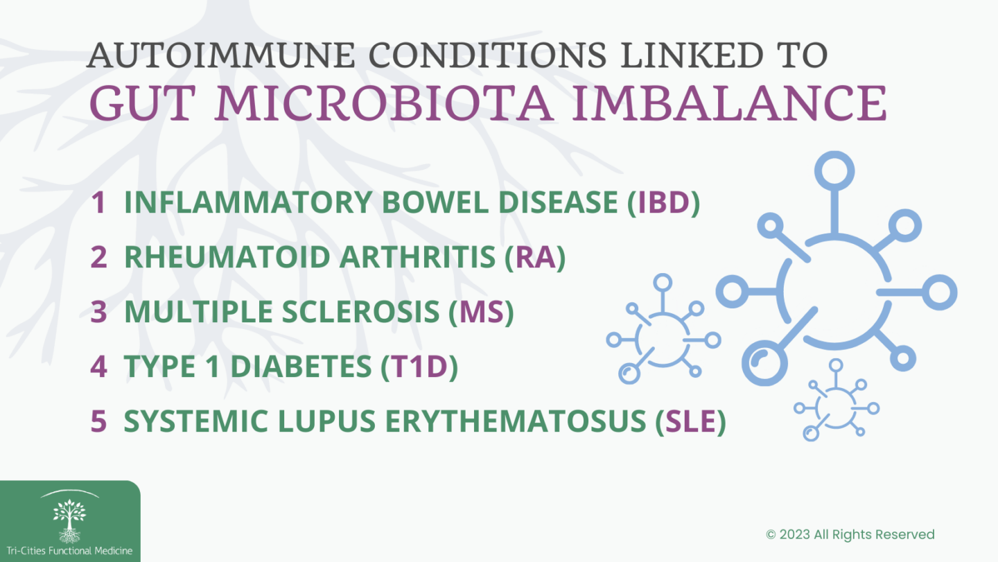 autoimmune conditions linked to gut microbiota imbalance infographic
