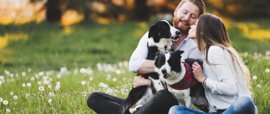 happy healthy couple with two dogs